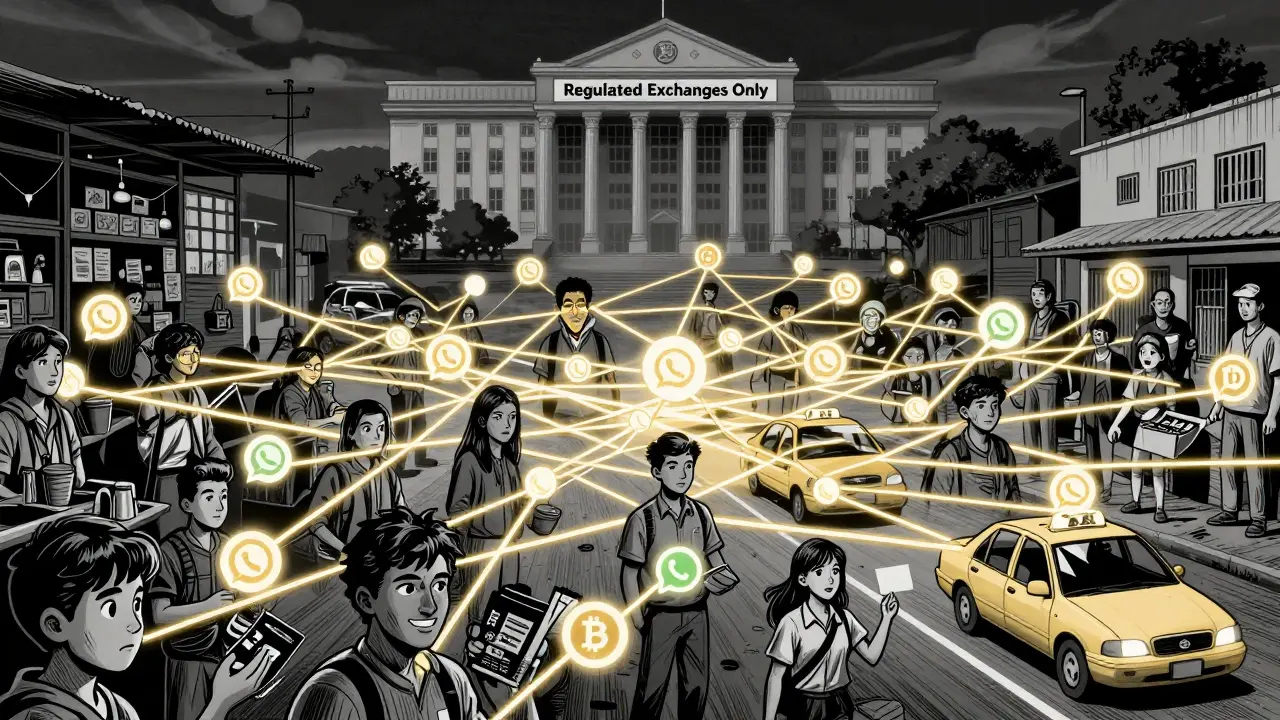 Network of everyday people connected by Bitcoin and WhatsApp across Ecuador, with distant government building above.